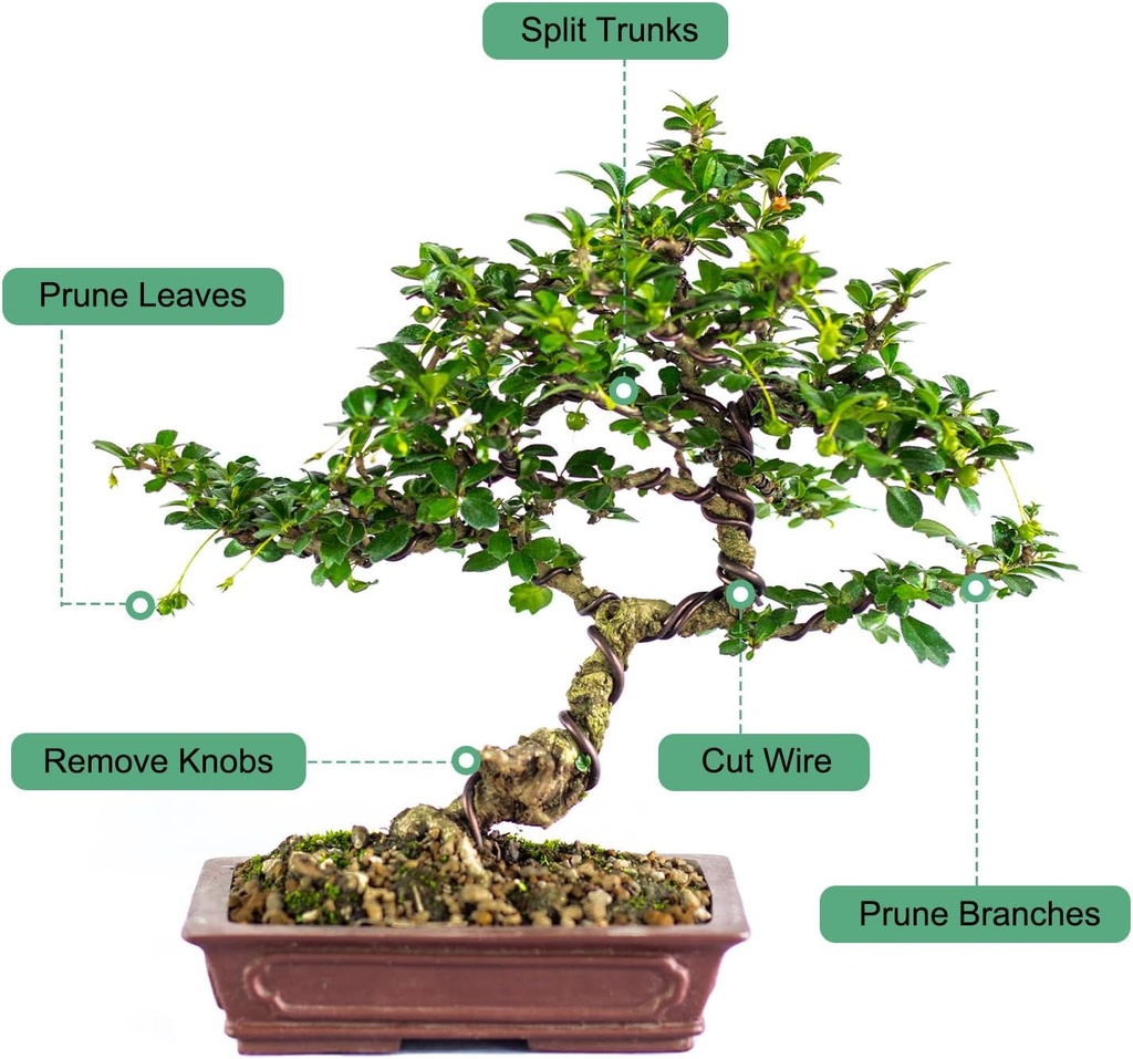 bonsai-tool---83-inch-high-carbon-steel--4.jpg