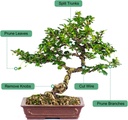 bonsai-tool---83-inch-high-carbon-steel--4.jpg