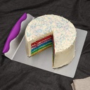 cake-pizza-transfer-tray-stainless-steel-4.jpg