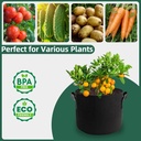 5-pack-5-gallon-grow-bags-thickened-aera-6.jpg