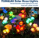 tonulax-solar-garden-lights---upgraded-o-6.jpg
