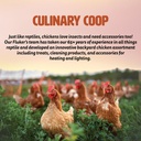 flukers-culinary-coop-premium-chicken-tr-4.jpg