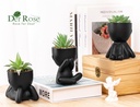 der-rose-3pcs-fake-succulents-plants-art-2.jpg