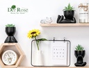 der-rose-3pcs-fake-succulents-plants-art-6.jpg