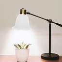 generic-glass-lamp-shade-small-lamp-shad-3.jpg