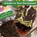 orchid-potting-mix1-quart-premium-orchid-5.jpg