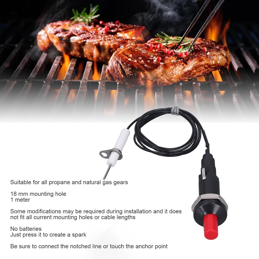 2pcs-piezo-igniter-1-out-2-push-button-p-2.jpg
