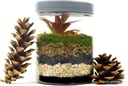 mosser-lee-ml1112-black-sand-soil-cover--4.jpg