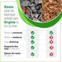 bonsai-soil-mix-by-tinyroots---all-purpo-3.jpg