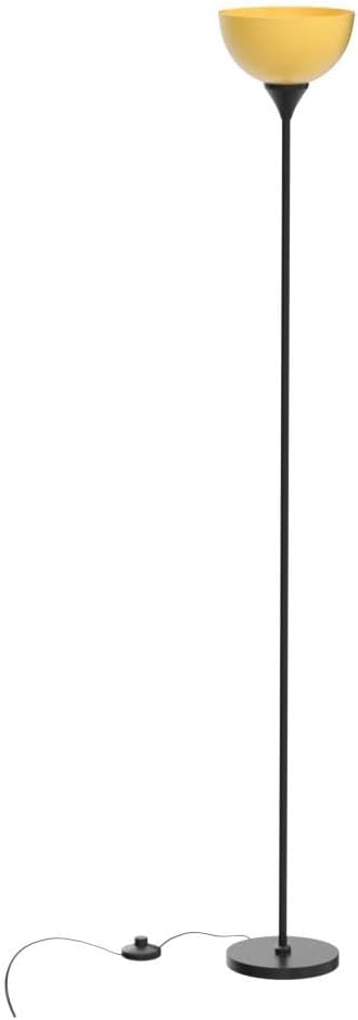 pesrae-floor-lamp-remote-control-with-st-4.jpg