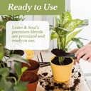 professional-indoor-herb-plant-soil-larg-5.jpg