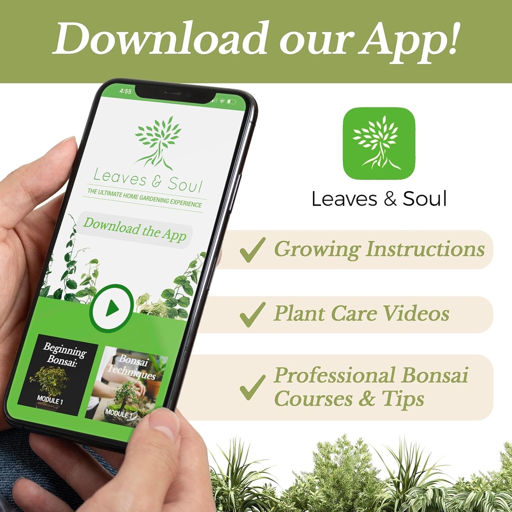 professional-indoor-herb-plant-soil-larg-6.jpg