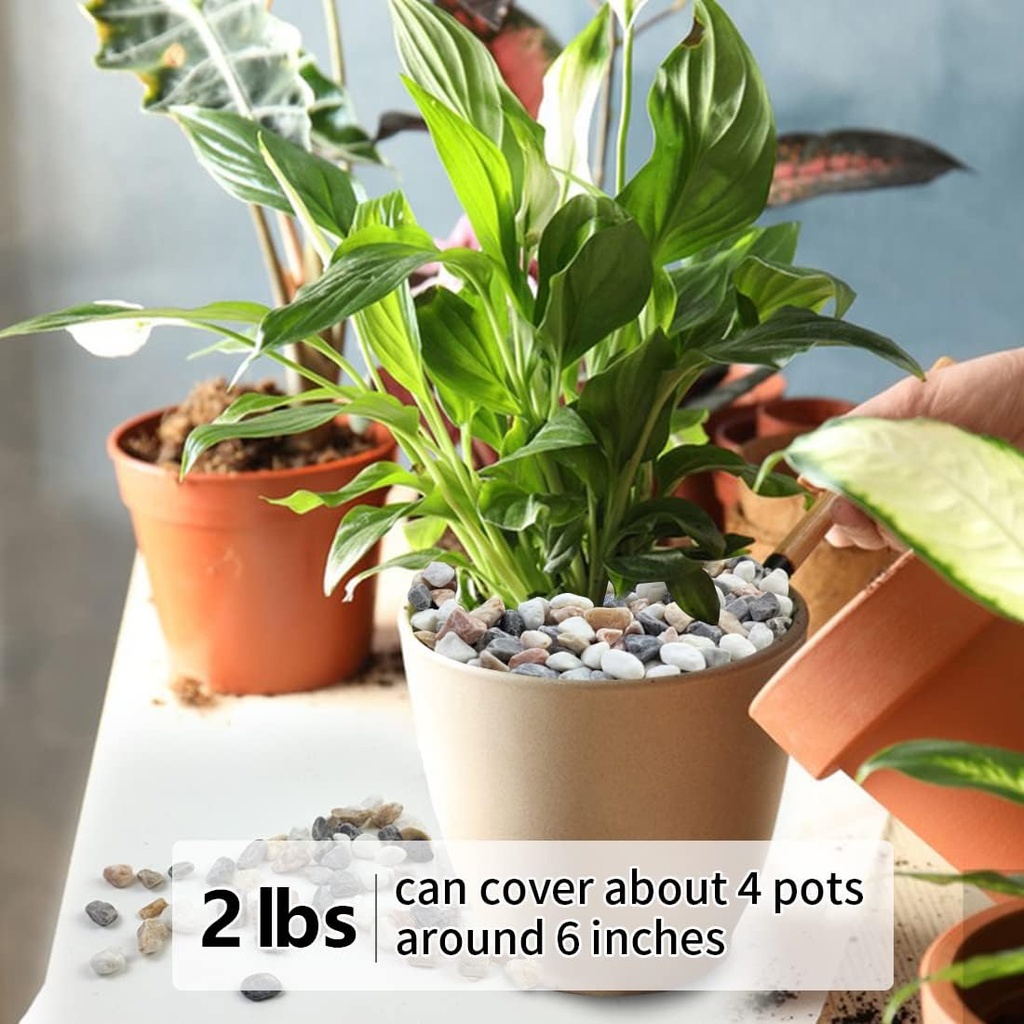 2lb-succulent-and-cactus-gravel-pebbles--4.jpg