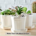 2lb-succulent-and-cactus-gravel-pebbles--5.jpg
