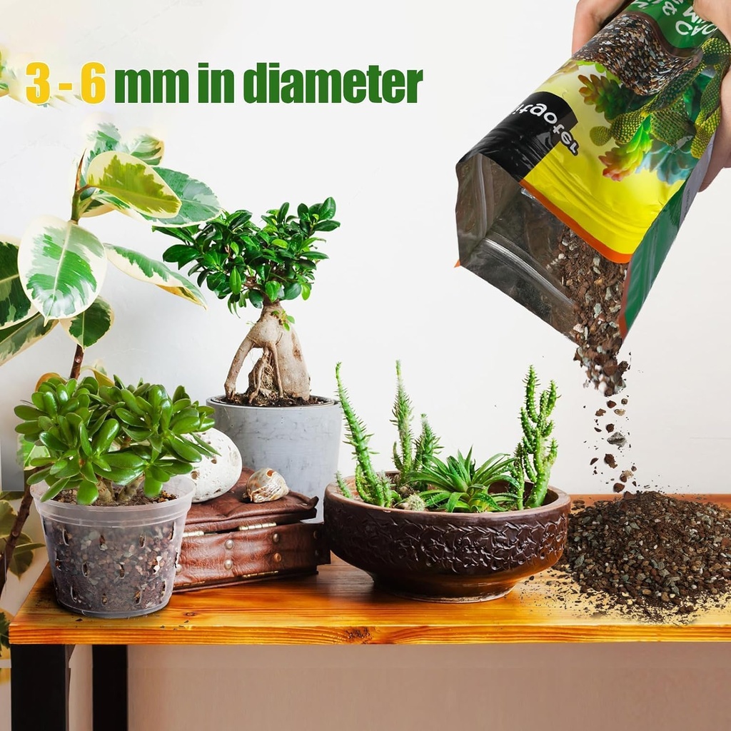 succulent-cactus-soil-potting-mix-1qt-na-2.jpg