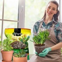 succulent-cactus-soil-potting-mix-1qt-na-5.jpg