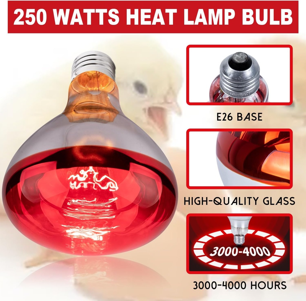 6-pack-250w-heat-lamp-bulbs-for-chicks-r-3.jpg