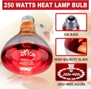 6-pack-250w-heat-lamp-bulbs-for-chicks-r-3.jpg