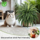 35-ferns-artificial-bush-plants-large-2--4.jpg