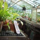 outdoorindoor-thermometer-hygrometer-hum-4.jpg
