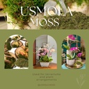 fake-green-moss-for-potted-plants-4oz-ar-6.jpg