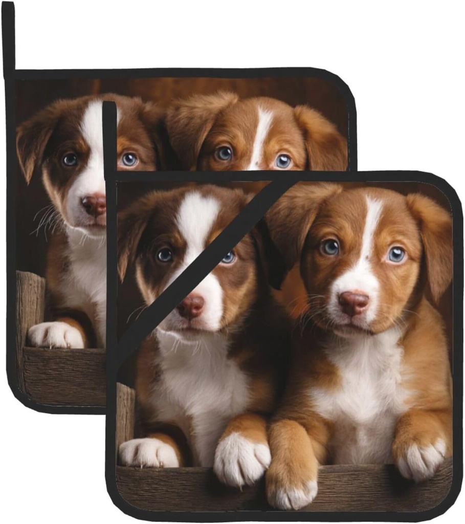 pot-holders-set-of-2-kitchen-heat-resist-2.jpg