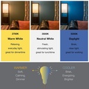 sylvania-eco-led-light-bulb-a19-60w-equi-5.jpg