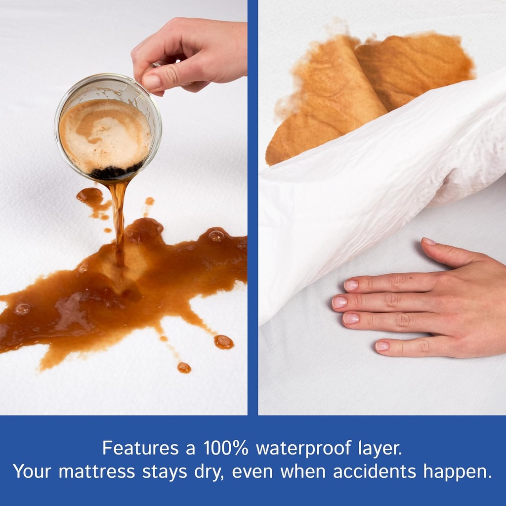 queen-size-mattress-protector-bedbug-wat-3.jpg