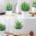 der-rose-2-pack-small-fake-plants-mini-a-3.jpg