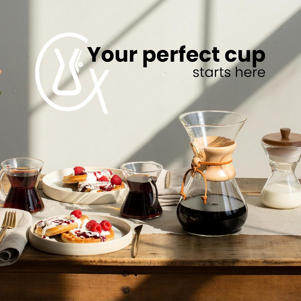 chemex---automatic-coffeemaker-cleaning--5.jpg