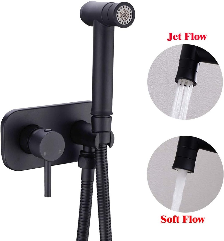 trustmi-toilet-concealed-hot-and-cold-bi-2.jpg