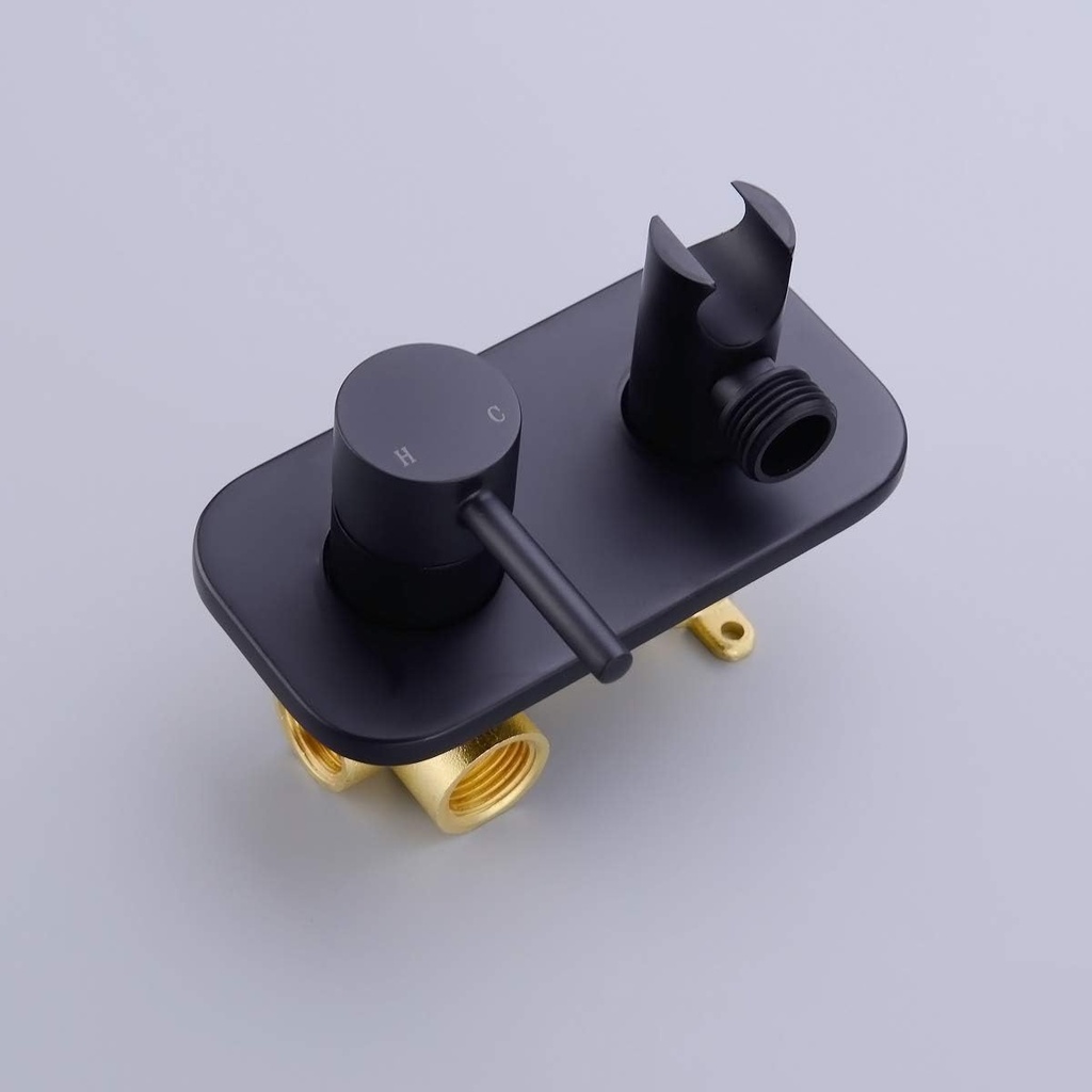 trustmi-toilet-concealed-hot-and-cold-bi-5.jpg