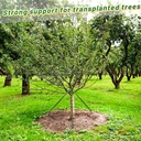 biubee-2425-lbs-strength-tree-straps---1-5.jpg
