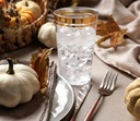 perfect-settings-gold-rimmed-disposable--4.jpg