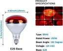 250-watt-heat-lamp-bulbs-for-chicks-r40--2.jpg