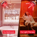 250-watt-heat-lamp-bulbs-for-chicks-r40--5.jpg