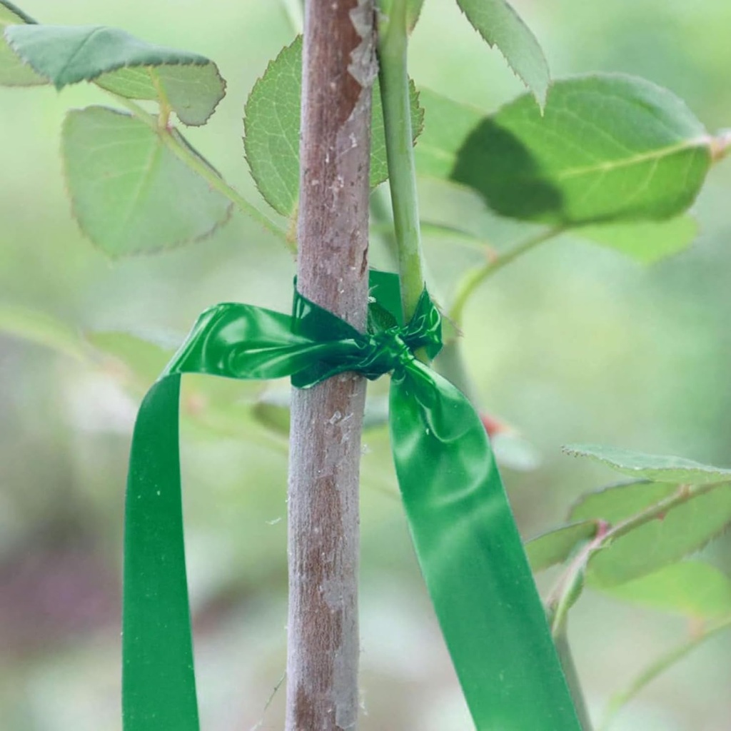 20-rolls-1640-ft-green-plant-grafting-ta-5.jpg