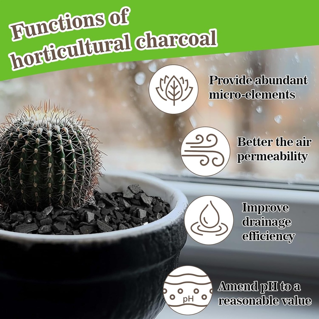 sukh-horticultural-charcoal-for-plants---3.jpg