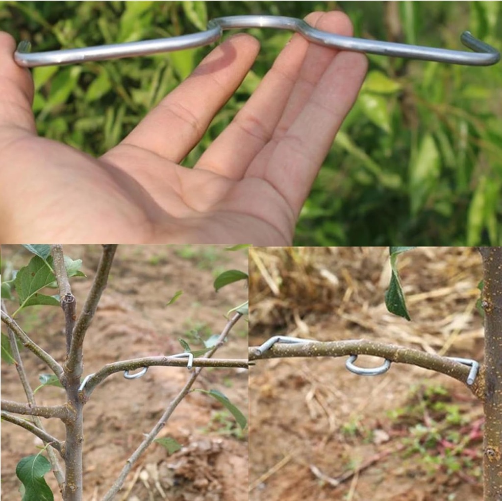 fruit-tree-branch-puller-tying-machine-f-5.jpg