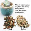 mix-horticultural-lava-pebbles-pumice-po-2.jpg