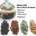 mix-horticultural-lava-pebbles-pumice-po-3.jpg