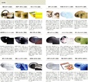 glass-black-earth-tususa-carved-large-cu-4.jpg