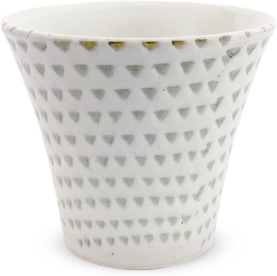 J-kitchens PNO606157 Dinner Tea Cup, 4.9 fl oz (140 cc), Hasami Ware, Made in Japan, Powder Coated Canna, Green