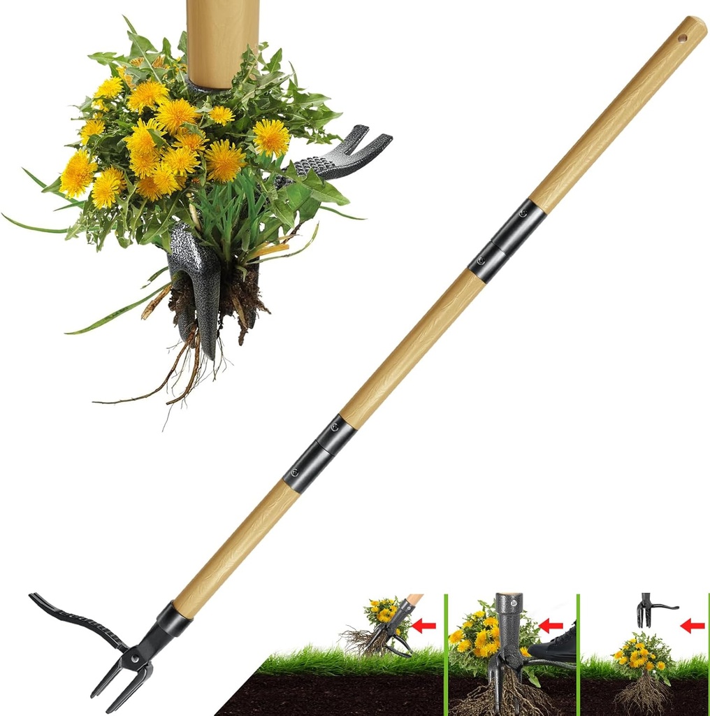 Gardtech Weed Puller Tool, 46-Inch Stand Up Weed Puller, Made with Real Bamboo & 4-Claw Steel Head Design, 3-Section Removable, Easily Remove Weeds Without Bending, Pulling, or Kneeling