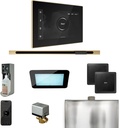Mr Steam XDream Steam Shower Ctrl Pkg w/iSteamX Control and Linear Steamhead in Black Satin Brass