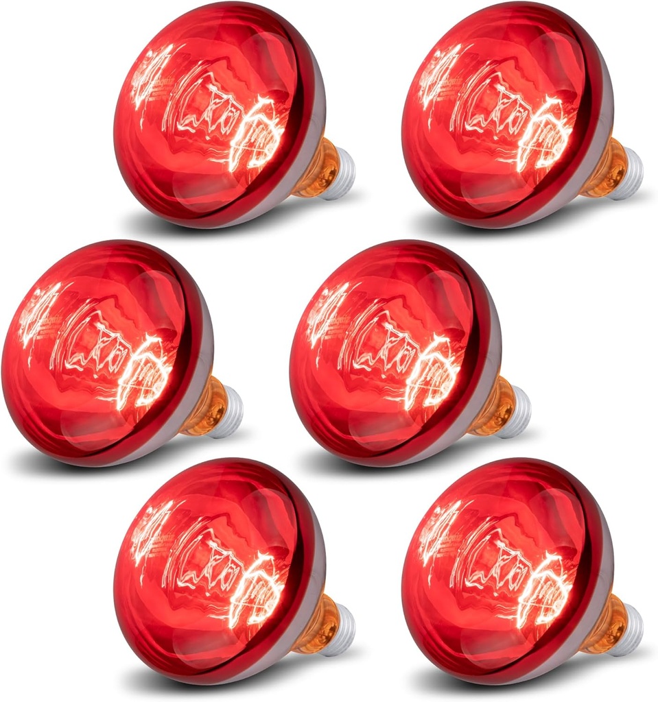 6 Pack 250W Heat Lamp Bulbs for Chicks, R40 Brooder Heat Lamp for Chickens, Infrared Reflector Heating Bulbs, Incandescent Heat for Pet, Light Therapy, Bathroom, Food