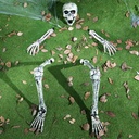 JOYIN 5 Pcs Halloween Skeleton Decorations Outdoor, Life Size Skeleton Yard Stakes, Groundbreaker Skulls Decor for Graveyard Yard Lawn Garden Ground Party Supplies