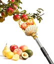 9FT Fruit Picker, Apple Picker Tool with Adjustable Pole and Basket, Long Reach Mango Grabber Tool, Tree Fruit Catcher for Picking Lemon Pear Orange Avocado Peach Citrus